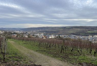 GM1IMG_4431
