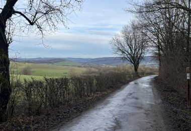 GM2IMG_4395