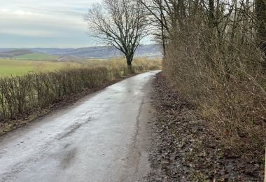 GM2IMG_4398
