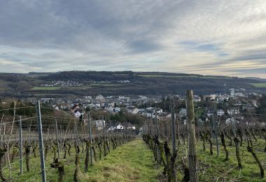 GM2IMG_4401
