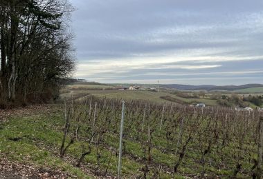 GM2IMG_4432