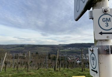 GM3IMG_4400