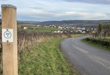 GM3IMG_4402