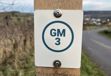 GM3IMG_4403