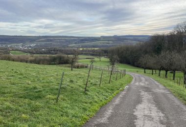 GM3IMG_4409
