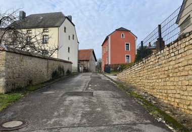 GM3IMG_4410