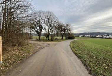 GM4IMG_4412