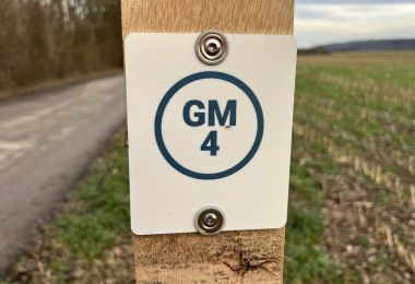 GM4IMG_4413