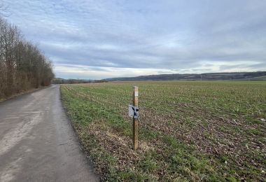 GM4IMG_4414