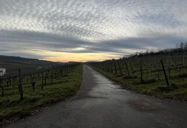 GM4IMG_4421